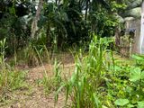 Land for Sale in Pinnaduwa, Pilana