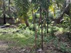 Land for Sale in Ahungalla