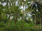 Land For Sale Habaraduwa