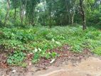 Land for Sale Galle