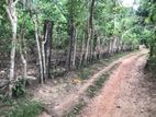 Land for Sale Baddegama