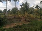Land for Sale Ambalangoda