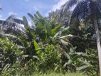 Land for Sale in Mirigama