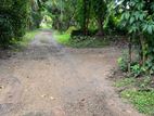 Land for Sale in Mellawagedara