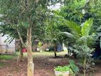 Land For Sale Negombo