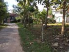 Land for Sale In Adiambalama