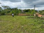 Land for Sale in Wilibula