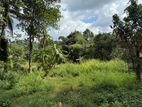 Land for Sale Delgoda