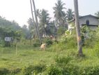 Land for Sale Kalagedihena