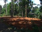 Land For Sale Pasyala