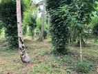 Land for Sale Mirigama