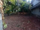 Land for Sale in Ganemulla