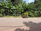 Land For Sale in Gampaha
