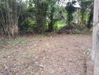 Land for Sale Ragama
