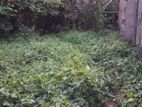 Land for Sale දෙල්ගොඩ