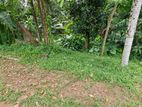 Land for Sale - Biyagama