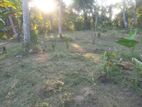 Land for Sale Henegama
