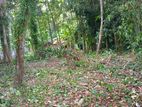 Land for Sale Nilpanagoda