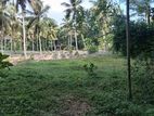 Land for sale Pasyala