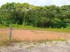 Land for Sale Anuragoda