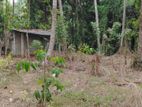 Land for Sale Veyangoda