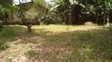 Land for Sale Kelaniya
