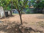 Land for Sale in Kadawatha