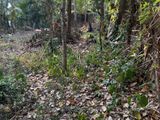 Land for Sale Ganemulla