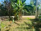 Land For Sale Minuwangoda