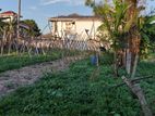 Land for Sale in Negombo
