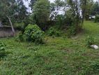 Land for sale