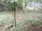 Land for Sale - Kadawatha