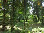 Land For sale