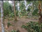 Land for Sale Divulapitiya