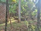Land For Sale Ragama
