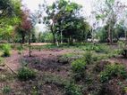Land for Sale Koggalla