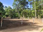 Land For Sale Julampitiya