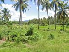 Land for Sale Walasmulla