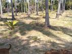 Land for Sale in Kodikam