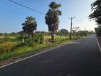 Land for Sale Jaffna