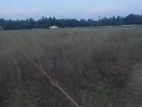 Land for Sale உடுவில்