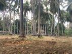 Land for Sale Nallur