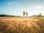Land for Sale அருகில்