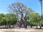 Land for Sale Urumpirai Vilathi Road, Jaffna