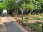 Land for Sale Maniyanthodam