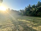 Land for Sale Chavakachcheri