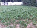 Land for Sale Jaffna