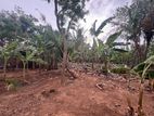 Land for Sale - Jaffna