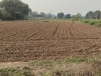 Land for Sale Jaffna