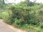 Land for Sale Tellippalai